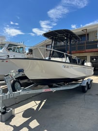 Boston Whaler 190 Montauk
