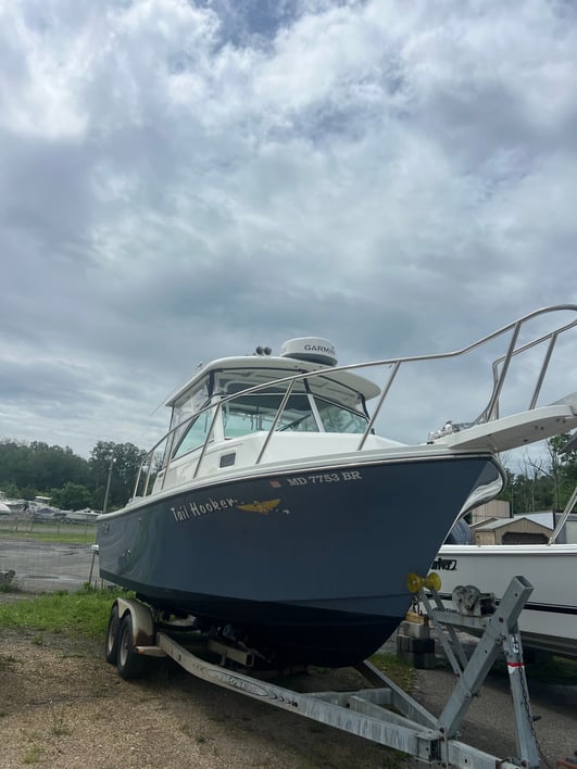 2021 Parker 2510 Walkaround